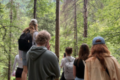 Wanderung Slowenien