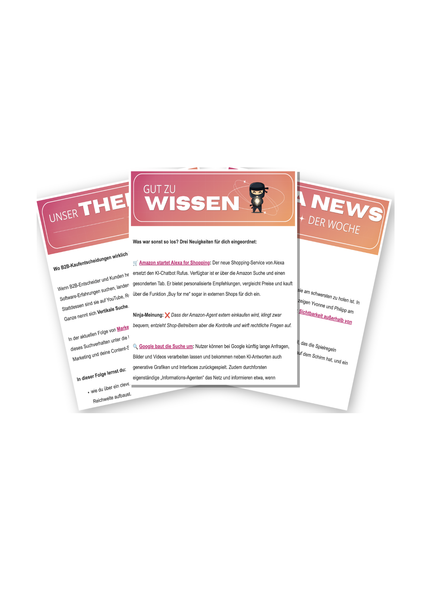 Drei Ausgaben des Ninja Spotlight Newsletters gefächert dargestellt
